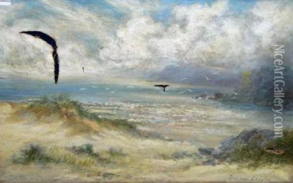 West Country Coastal View With Sea Birds Flying Over Sand Dunes Oil Painting - William Langley