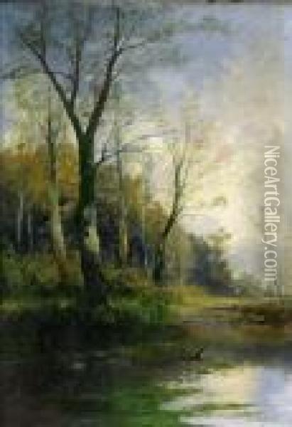 Teichlandschaft Mit Enten Oil Painting - Georg Fischof