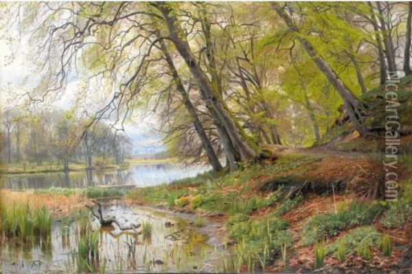 Traeer Ved Soen (by The Lakeside) Oil Painting - Peder Mork Monsted