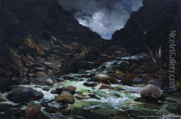 Mountain Stream, Otira Gorge Oil Painting - Petrus Carel van de Velden