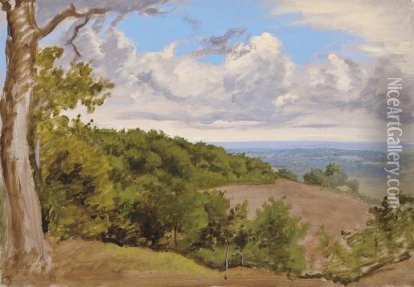 View Near Redhill, Surrey Oil Painting - William Linnell