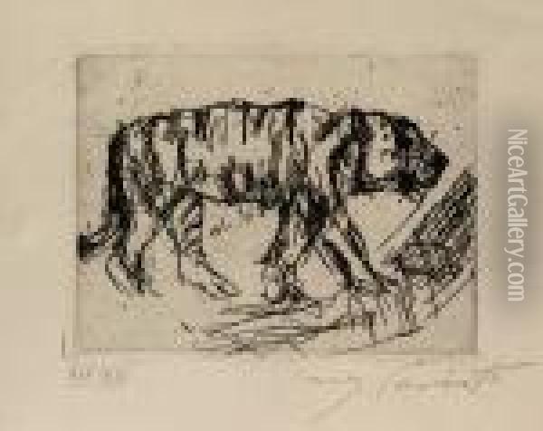 Schreitender Tiger Oil Painting - Lovis (Franz Heinrich Louis) Corinth