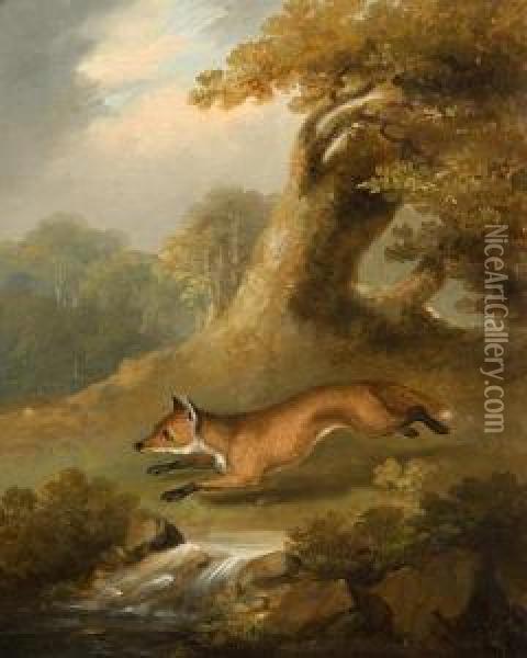 Fox In A Clearing Oil Painting - James Sillett