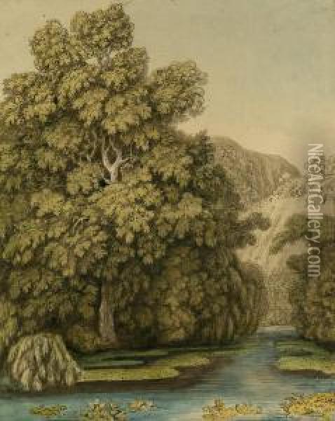 Eichenbaum Und Trauerweiden Am Waldsee Oil Painting - Johann Heinrich Ii Tischbein