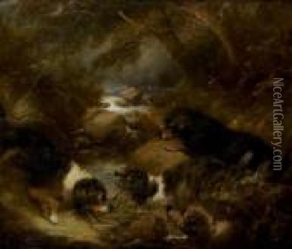 Four Terriers Otter Hunting Oil Painting - George Armfield