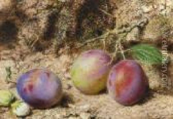 Still Life With Plums And Hazelnuts On A Mossy Bank Oil Painting - William Henry Hunt