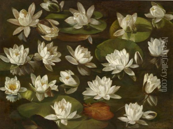Water Lilies Oil Painting - Karl Max Gebhardt
