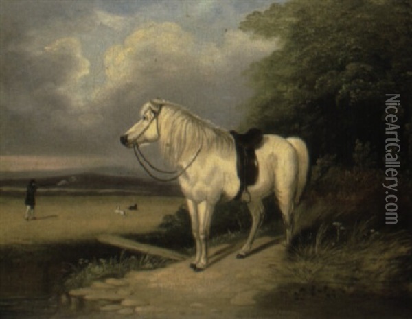 The Shooting Pony Oil Painting - Edmund Bristow