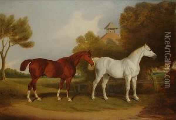 A Portrait Of Two Stallions In A Paddock Oil Painting - T. Temple
