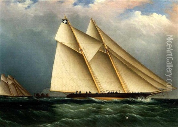 Dauntless And Sappho Off The Needles, Isle Of Wight Oil Painting - James Edward Buttersworth