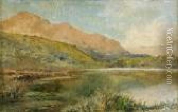 Paesaggio Montano Con Lago Oil Painting - Silvio Allason