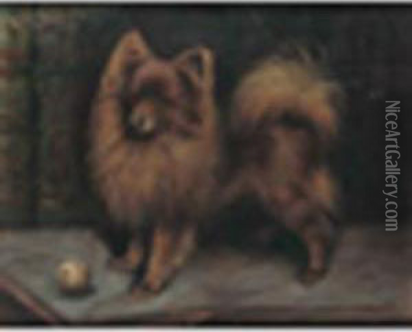 A Pomeranian Playing With A Ball Oil Painting - Fannie Moody