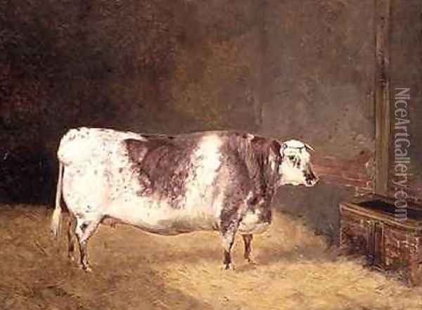 Shorthorn Cow Oil Painting - John Goode
