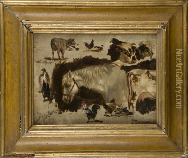 Animali Da Cortile (studi) Oil Painting - Alexandre Defaux