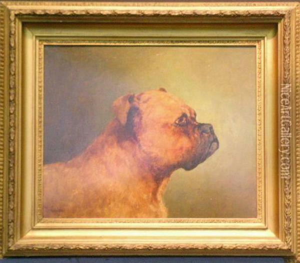 Bulldog Oil Painting - J. H. Gibb