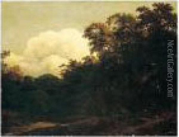 A Wooded Landscape Oil Painting - Cornelis Hendricksz. The Younger Vroom