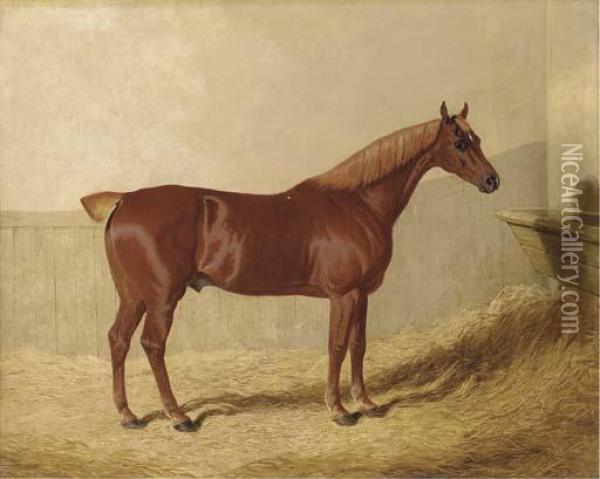 A Chestnut In A Stable Oil Painting - John Frederick Herring Snr
