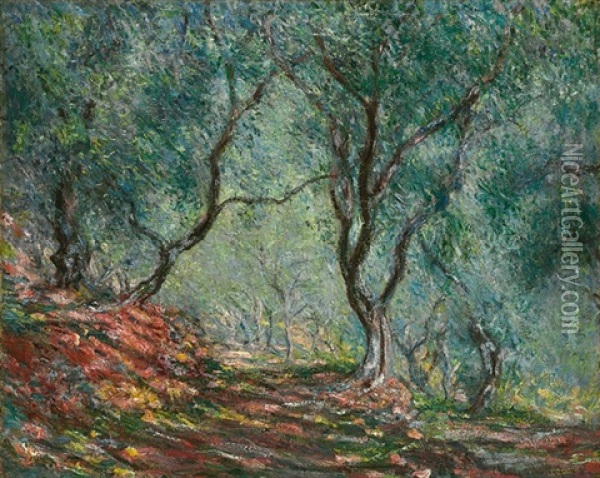 Bois D'oliviers Au Jardin Moreno Oil Painting - Claude Monet