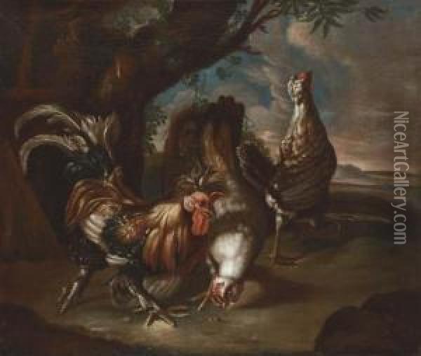 Fowl In A Landscape Oil Painting - David de Coninck