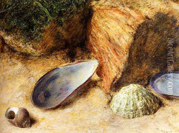 Still Life With Sea Shells On A Mossy Bank Oil Painting - William Henry Hunt