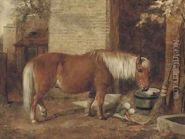 A pony in a stable yard Oil Painting - William Snr Shayer