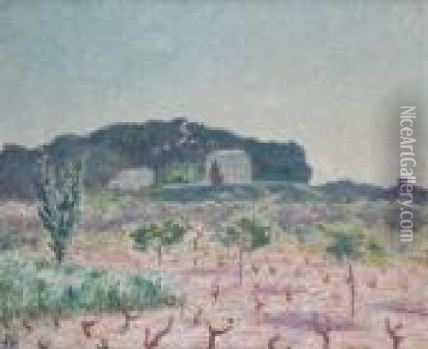 Vineyard, South Of France Oil Painting - Bonny Rupert