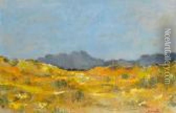 Spring, Cape Flats Oil Painting - Hugo Pieter Naude