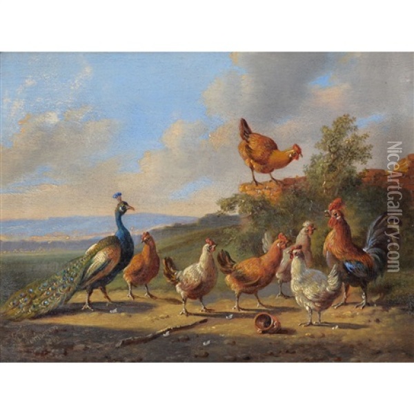 Chickens With A Peacock; Chickens Going To Roost Oil Painting - Albertus Verhoesen