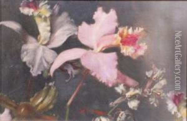 Irises Oil Painting - John Henry Lorimer