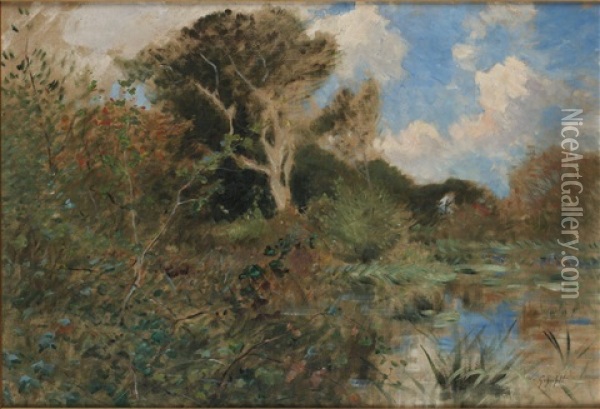 Varlandskap Oil Painting - Wilhelm von Gegerfelt