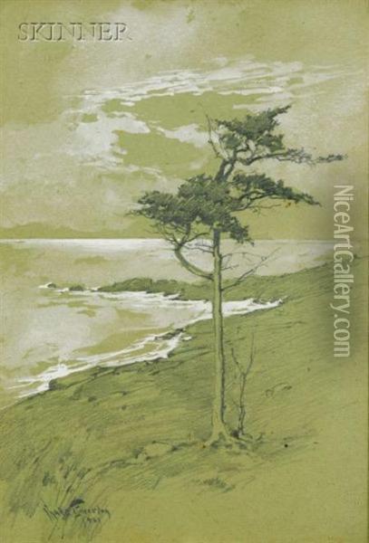 Lone Pine By The Sea/possibly A Monhegan View Oil Painting - Charles Chase Emerson