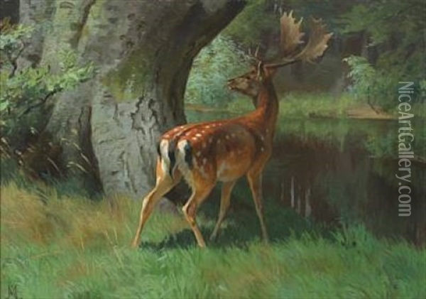 Forest Scenery With Deer Oil Painting - Adolf Heinrich Mackeprang