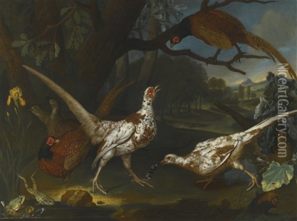 Oriental Pheasants By A Pond In A Wooded Landscape Oil Painting - Philipp Ferdinand de Hamilton