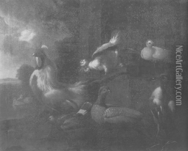 A Cockeral, A Hen, Pidgeons, A Pheasant And A Mallard In A Yard Oil Painting - Melchior de Hondecoeter