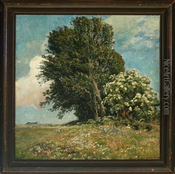 Landscape With Field Flowers, Trees And Shrubs Oil Painting - Viggo Pedersen