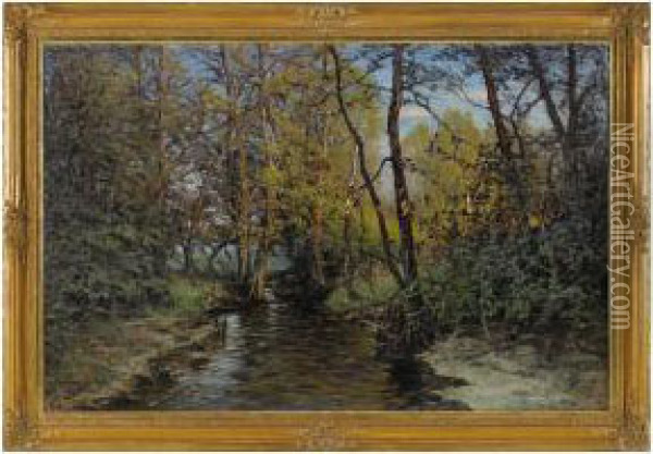 Skogsback Oil Painting - Edvard Rosenberg