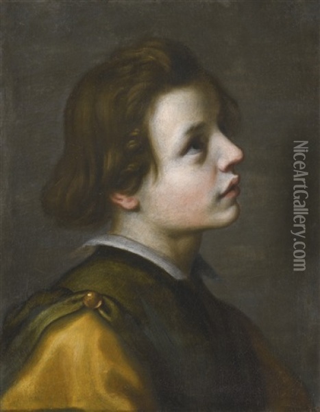 Head Of A Youth Oil Painting - Francesco Curradi