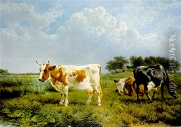 Cows Grazing In A Field Oil Painting - Joseph Augustus Knip