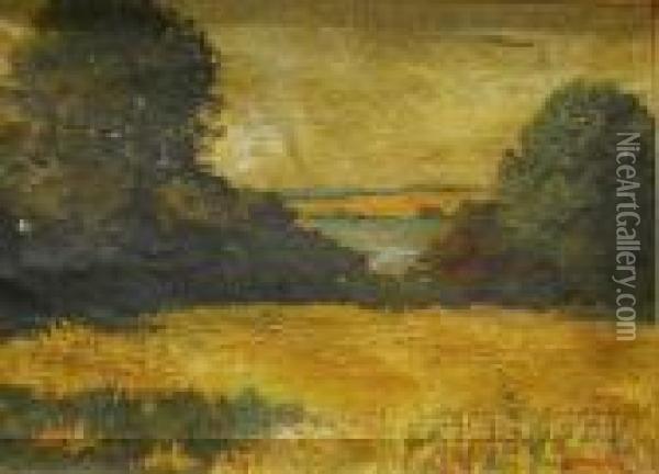 Fields And Woods Oil Painting - Yarnall Abbott