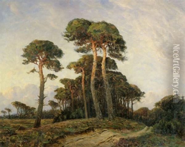 Kieferbaume In Tisvelde Hegn In Nordseeland In Danemark Oil Painting - Ludvig Mogelgaard