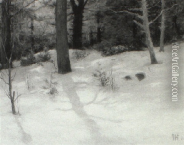 Woods In Snow Oil Painting - John Calvin Stevens