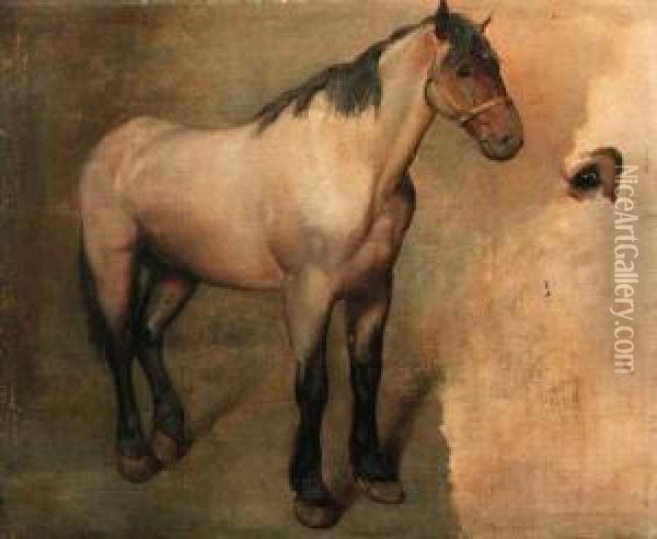 Study Of A Bay Horse Oil Painting - Jacques Laurent Agasse
