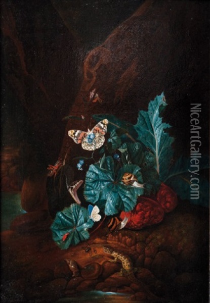 Forest Floor With A Snake, A Lizard, A Snail And Insects Oil Painting - Carl Wilhelm de Hamilton