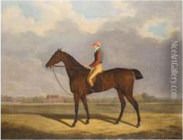 ``fulford' With Jockey Up Oil Painting - Clifton Tomson