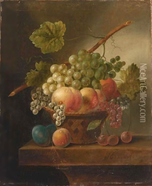 A Still Life With Various Fruits Oil Painting - Johannes Cornelis De Bruijn