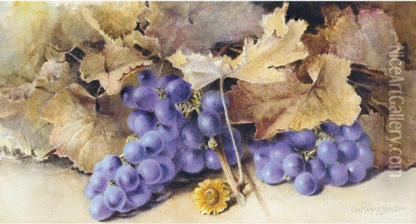 Still Life Of Grapes And Leaves Oil Painting - Constance Lawson