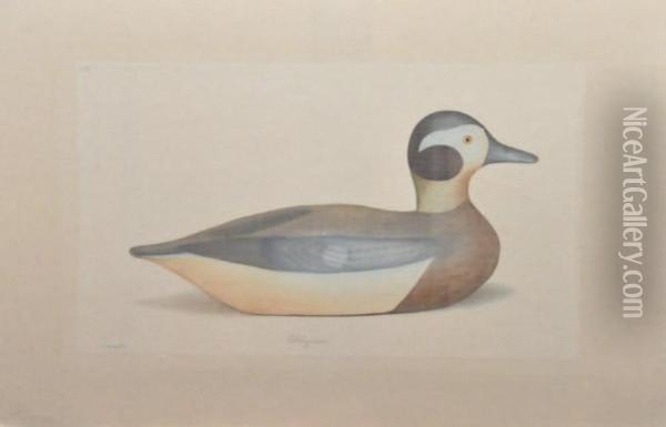 Canard Red Breasted Merganser Drake Oil Painting - Louis Lafitte