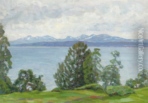 Sommarlandskap, Kallsjon, Jamtland Oil Painting - Carl (August) Johansson