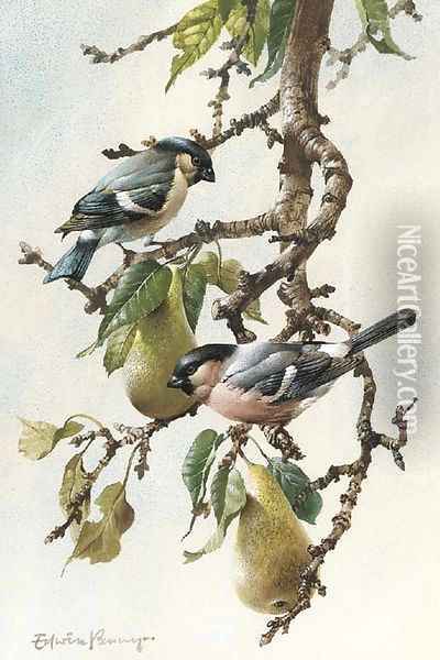 Bullfinches in a pear tree Oil Painting - Edward Penny