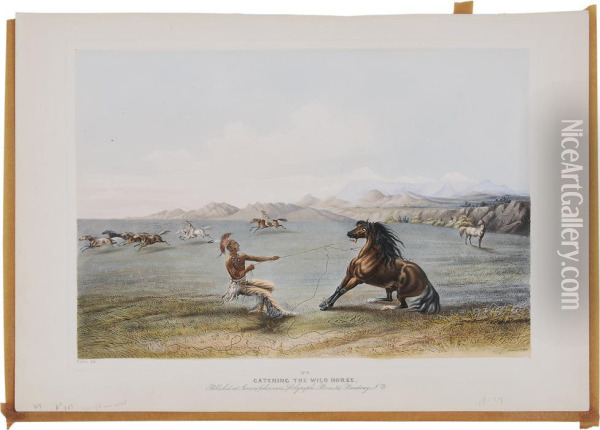 Catching The Wild Horse Oil Painting - George Catlin